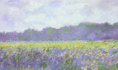 Claude Monet Field of Yellow Iris at Giverny Germany oil painting art
